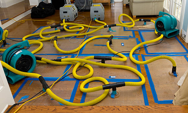 Professional Structural Drying And Dehumidification technician working in Kaukauna, WI